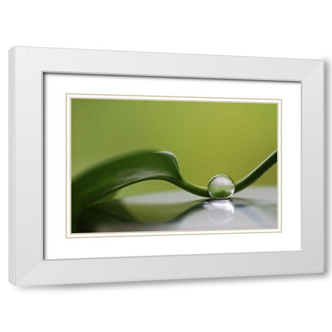 Green Harmony White Modern Wood Framed Art Print with Double Matting by Westum, Heidi