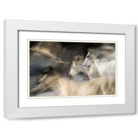 In Motion White Modern Wood Framed Art Print with Double Matting by Malovrh, Milan