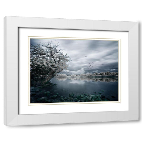 Migration White Modern Wood Framed Art Print with Double Matting by David Senechal Photographie