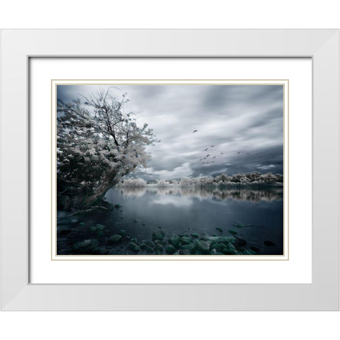 Migration White Modern Wood Framed Art Print with Double Matting by David Senechal Photographie