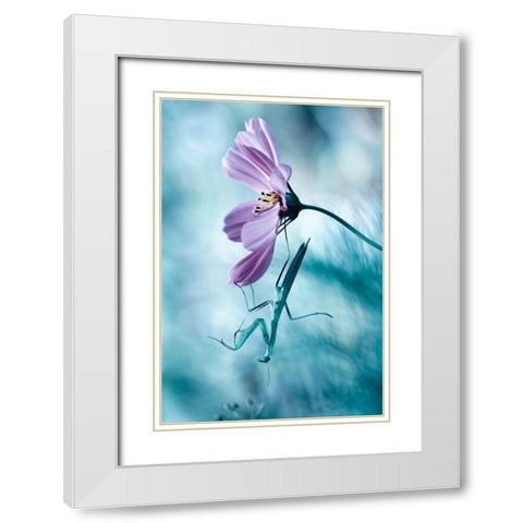 Newtonian Physics White Modern Wood Framed Art Print with Double Matting by Bravin, Fabien