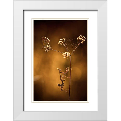 All I Want Is You White Modern Wood Framed Art Print with Double Matting by Bravin, Fabien