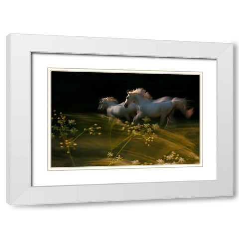 Duel White Modern Wood Framed Art Print with Double Matting by Malovrh, Milan