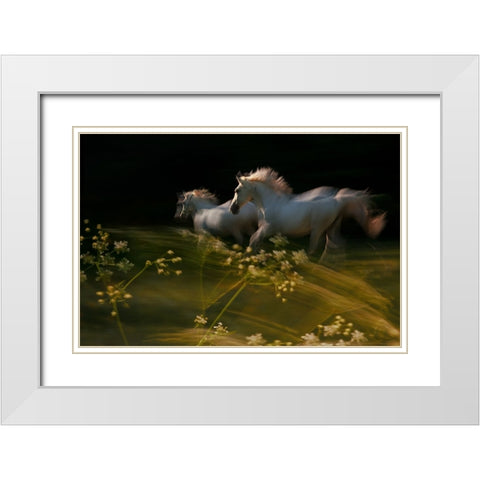 Duel White Modern Wood Framed Art Print with Double Matting by Malovrh, Milan