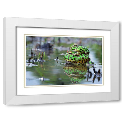 The Love White Modern Wood Framed Art Print with Double Matting by Goh, Shikhei