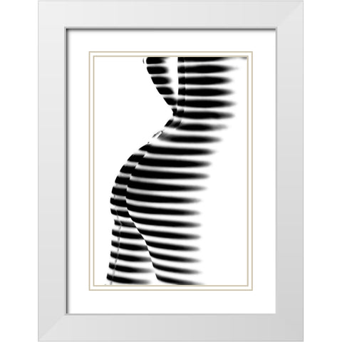 Zebra White Modern Wood Framed Art Print with Double Matting by P., Mato
