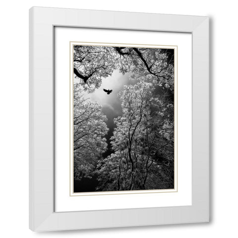 Flight White Modern Wood Framed Art Print with Double Matting by Stamenkovic, Goran