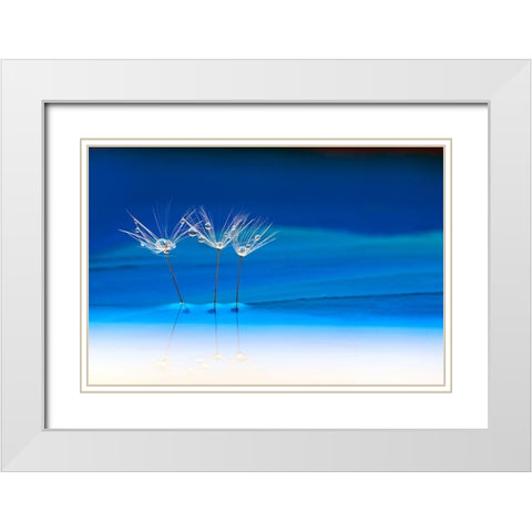 Blue Landscape White Modern Wood Framed Art Print with Double Matting by Westum, Heidi