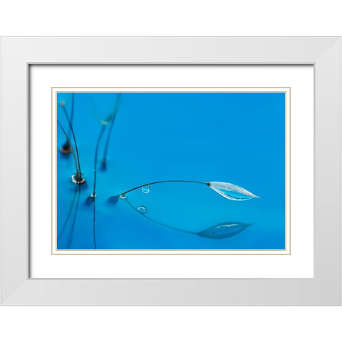 Blue Water White Modern Wood Framed Art Print with Double Matting by Westum, Heidi