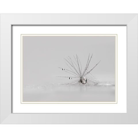 My Silver Spider White Modern Wood Framed Art Print with Double Matting by Westum, Heidi