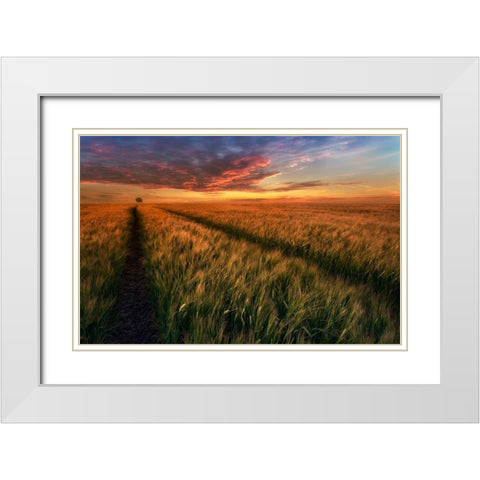 Somewhere At Sunset White Modern Wood Framed Art Print with Double Matting by Krol, Piotr