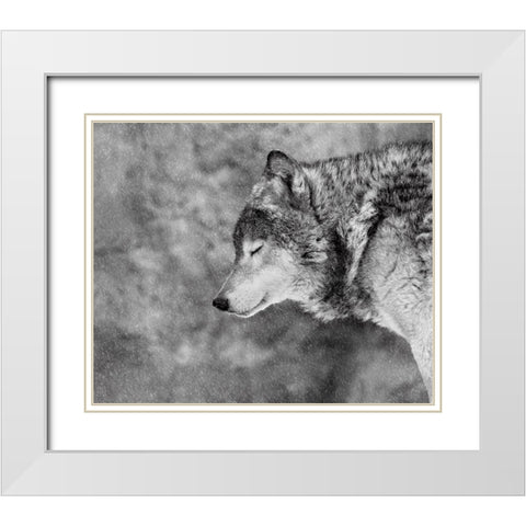 Let It Snow White Modern Wood Framed Art Print with Double Matting by Ivanova, Victoria