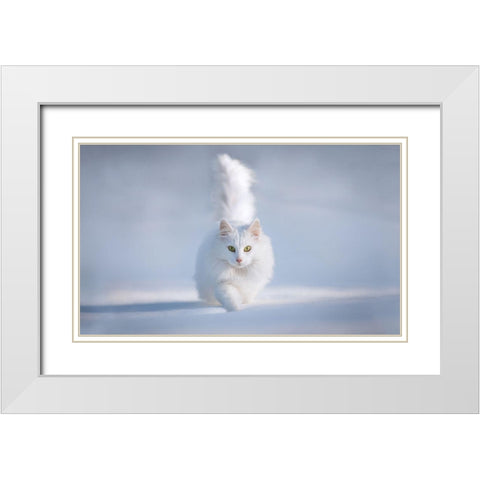 Yellow Eyes White Modern Wood Framed Art Print with Double Matting by Prexus, Esmee