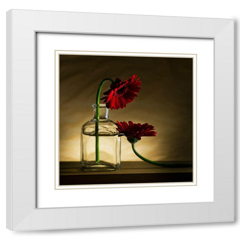 Sorry, Full... White Modern Wood Framed Art Print with Double Matting by De Kogel, Wieteke