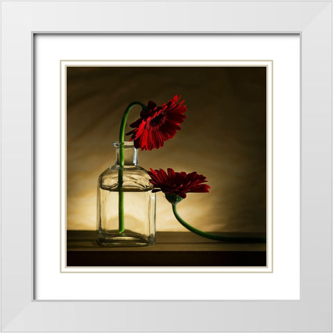 Sorry, Full... White Modern Wood Framed Art Print with Double Matting by De Kogel, Wieteke