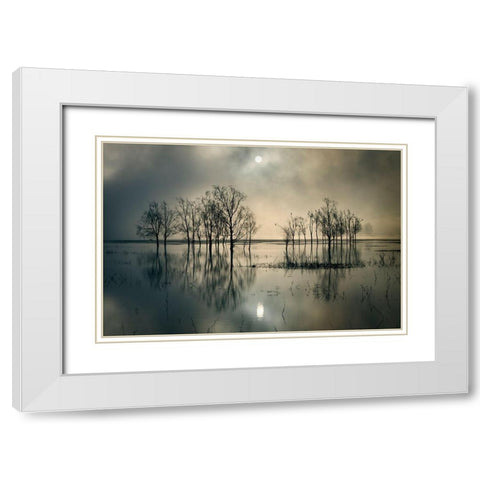 Lakes Secret White Modern Wood Framed Art Print with Double Matting by Joanne, Flj