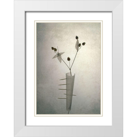 *** White Modern Wood Framed Art Print with Double Matting by Lazarov, Dimitar