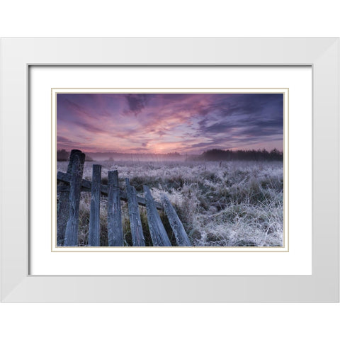 Dawn Of Bialowieza Meadows White Modern Wood Framed Art Print with Double Matting by Lorant, Krzysztof