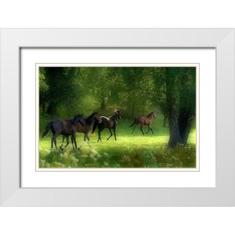 Running Horses White Modern Wood Framed Art Print with Double Matting by Wallberg, Allan