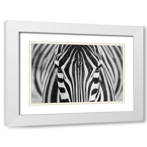 Zepra White Modern Wood Framed Art Print with Double Matting by Alhumaid, Hesham