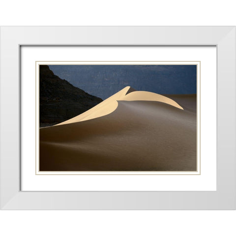 Sandy Bird White Modern Wood Framed Art Print with Double Matting by Dubikovskiy, Dmitry