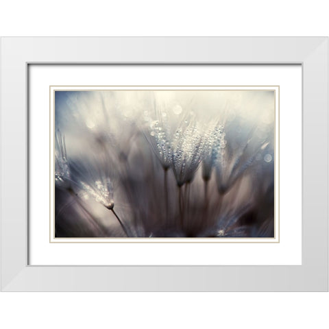 The Forest White Modern Wood Framed Art Print with Double Matting by Dam, Thomas