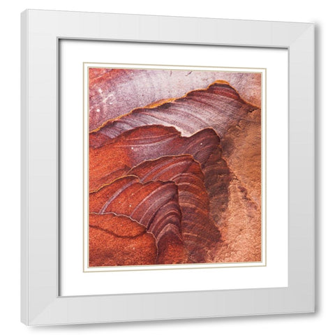 Solar Systems White Modern Wood Framed Art Print with Double Matting by Wrobel, Karsten