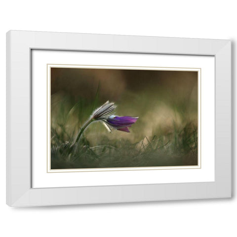 Alone White Modern Wood Framed Art Print with Double Matting by Lichner, Istvan