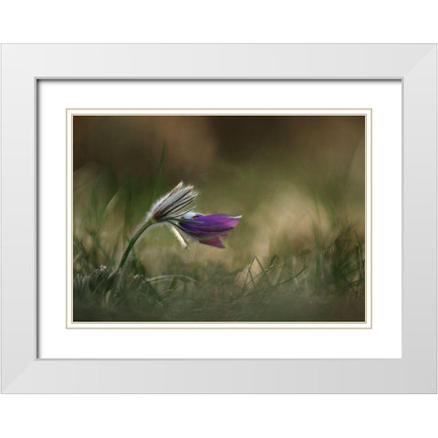 Alone White Modern Wood Framed Art Print with Double Matting by Lichner, Istvan