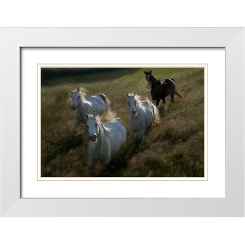 Gallop In White Modern Wood Framed Art Print with Double Matting by Malovrh, Milan