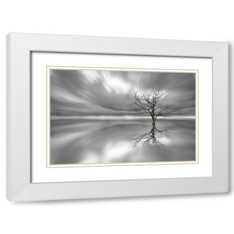 Ghost Tree White Modern Wood Framed Art Print with Double Matting by Londal, Leif