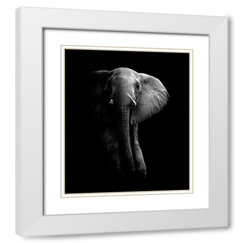 Elephant! White Modern Wood Framed Art Print with Double Matting by Wildphotoart