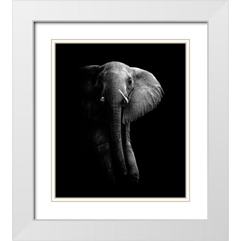 Elephant! White Modern Wood Framed Art Print with Double Matting by Wildphotoart