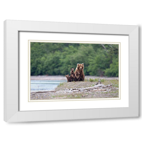 Family Affair. White Modern Wood Framed Art Print with Double Matting by Stahl, Peter