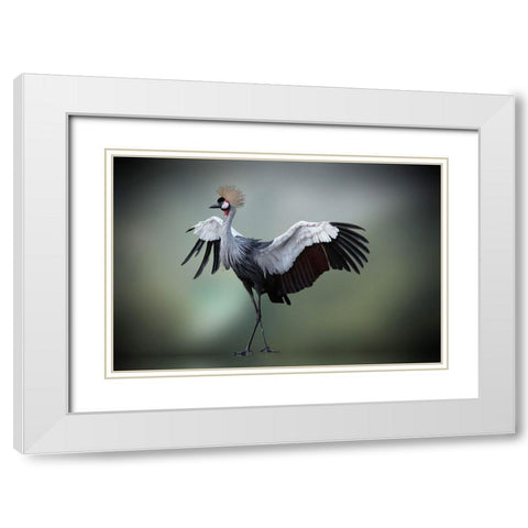 Top Model In The Photos Studio     .... White Modern Wood Framed Art Print with Double Matting by Cseresnjes, Anna