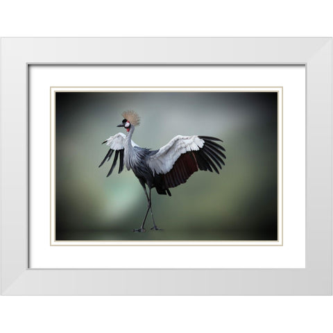 Top Model In The Photos Studio     .... White Modern Wood Framed Art Print with Double Matting by Cseresnjes, Anna