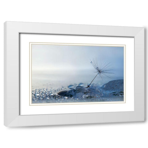 A Blue Morning White Modern Wood Framed Art Print with Double Matting by Westum, Heidi