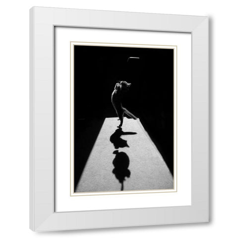 Edgar The Great Ii. White Modern Wood Framed Art Print with Double Matting by Kravanja, Jure