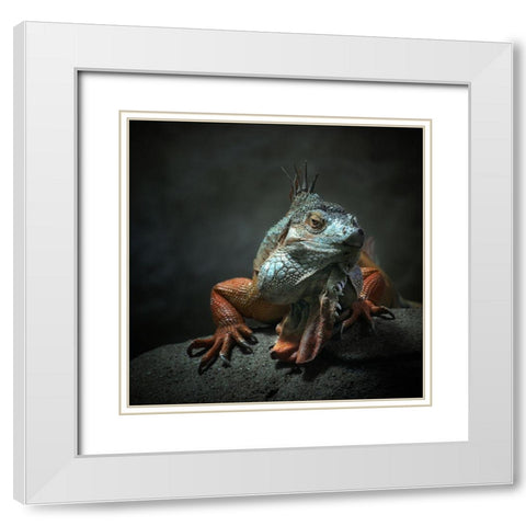 I Am The King ,.. Who Else ! White Modern Wood Framed Art Print with Double Matting by Droste, Holger