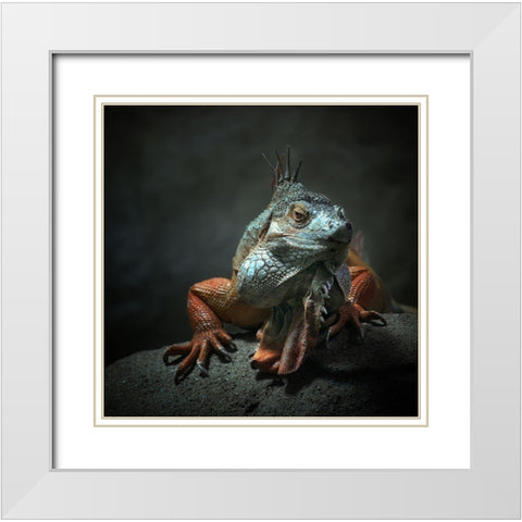 I Am The King ,.. Who Else ! White Modern Wood Framed Art Print with Double Matting by Droste, Holger