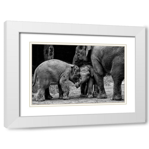 Friends Forever White Modern Wood Framed Art Print with Double Matting by Rex, Ernest