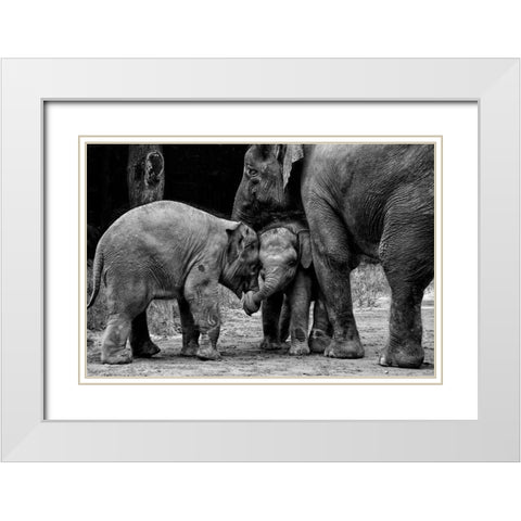 Friends Forever White Modern Wood Framed Art Print with Double Matting by Rex, Ernest