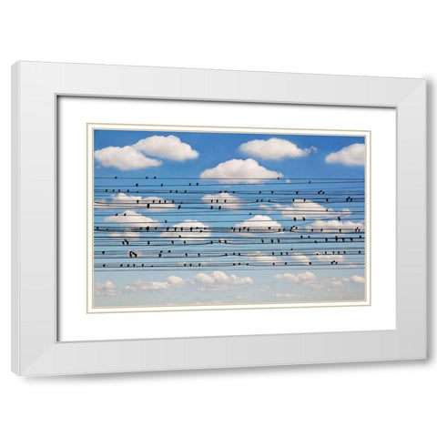 Cantus Arcticus - Concerto For Birds White Modern Wood Framed Art Print with Double Matting by Lim, Jared