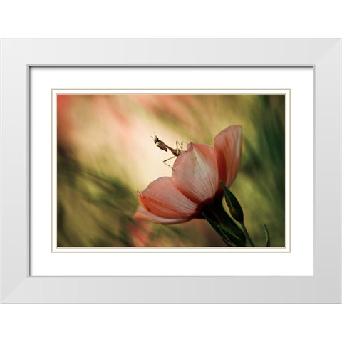 Juliet On The Balcony White Modern Wood Framed Art Print with Double Matting by Bravin, Fabien