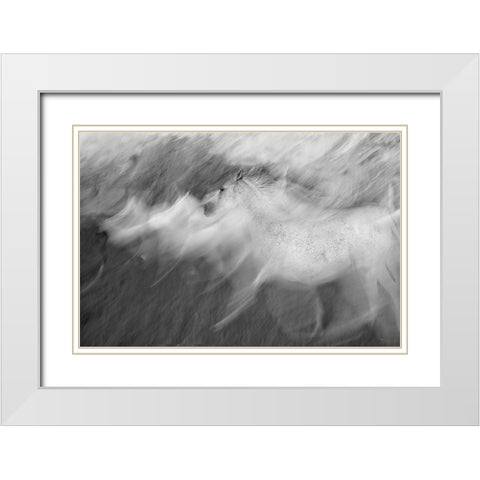 Mystic White White Modern Wood Framed Art Print with Double Matting by Malovrh, Milan