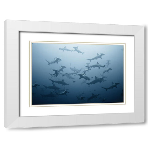 Swarming White Modern Wood Framed Art Print with Double Matting by Safonov, Alexander