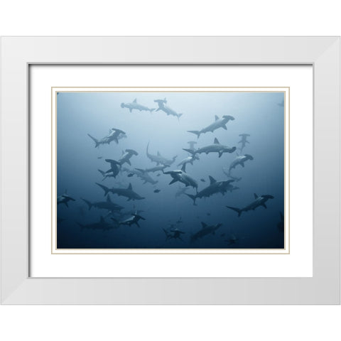 Swarming White Modern Wood Framed Art Print with Double Matting by Safonov, Alexander