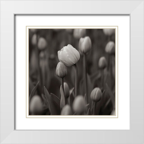 A Hug White Modern Wood Framed Art Print with Double Matting by Pajic, Samir