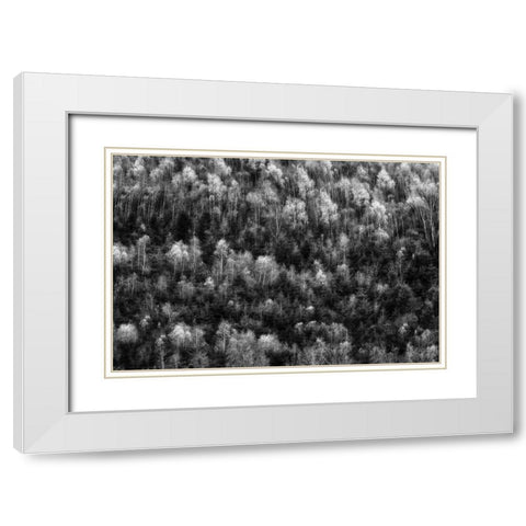 Untitled White Modern Wood Framed Art Print with Double Matting by Ghesquiere, Hilde