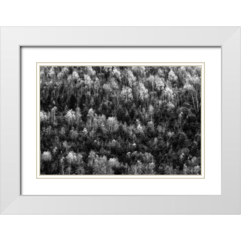 Untitled White Modern Wood Framed Art Print with Double Matting by Ghesquiere, Hilde